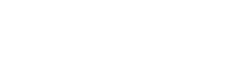 Wordpress website design. Shopify website design.